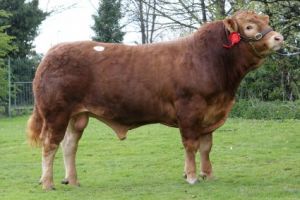 Newark 14th April 2012