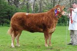 Newark 12th April 2014