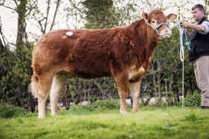 Newark 11th April 2015