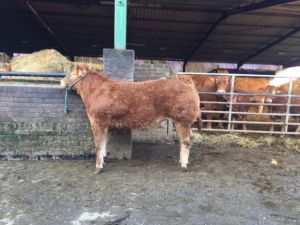 Newark 9th April 2016 